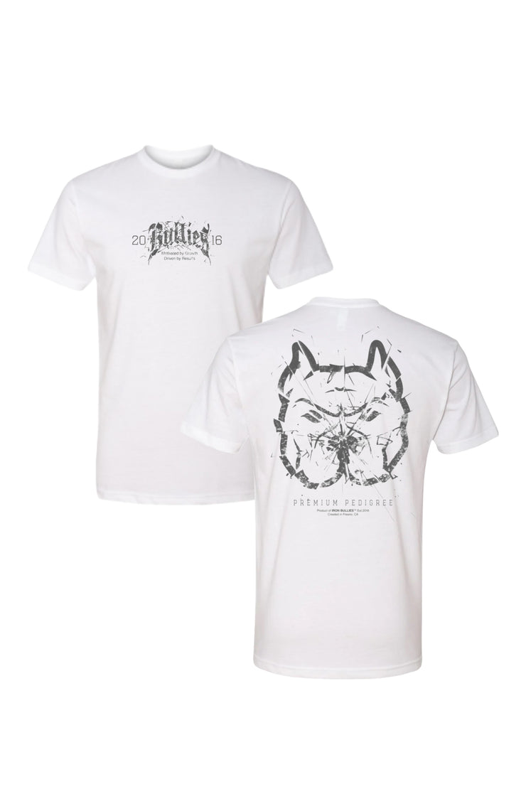 Shattered Training Tee
