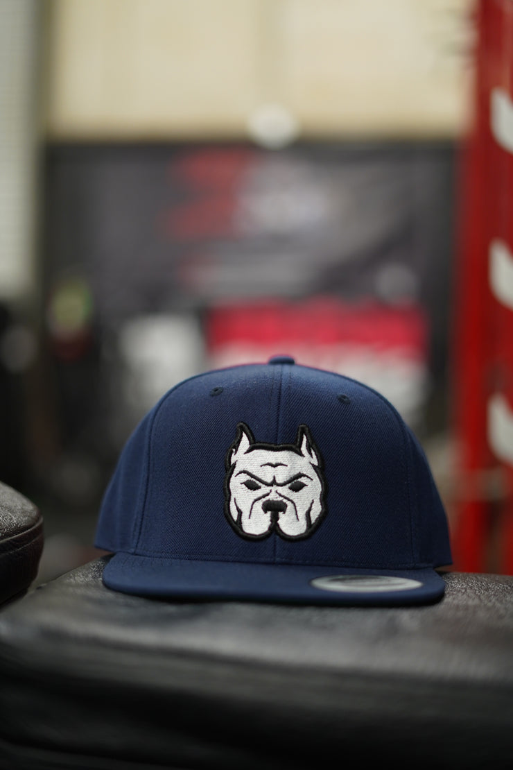 SnapBacks